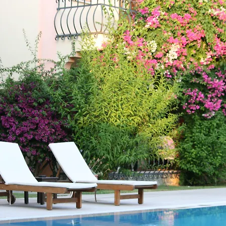 Отель Gorkem 2*