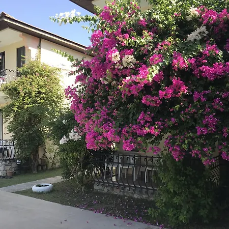 Gorkem ホテル ギョジェク